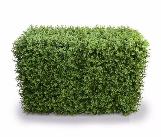 Deluxe Portable Buxus Hedges UV Stabilised 100cm Long X 55cm High