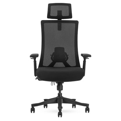 Lifespan Fitness DM9 Ergonomic Mesh High Back Office Chair