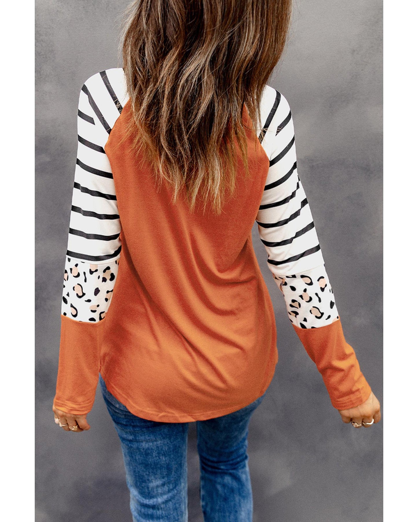 Azura Exchange Animal Print Long Sleeve Top with Striped Colorblock - L