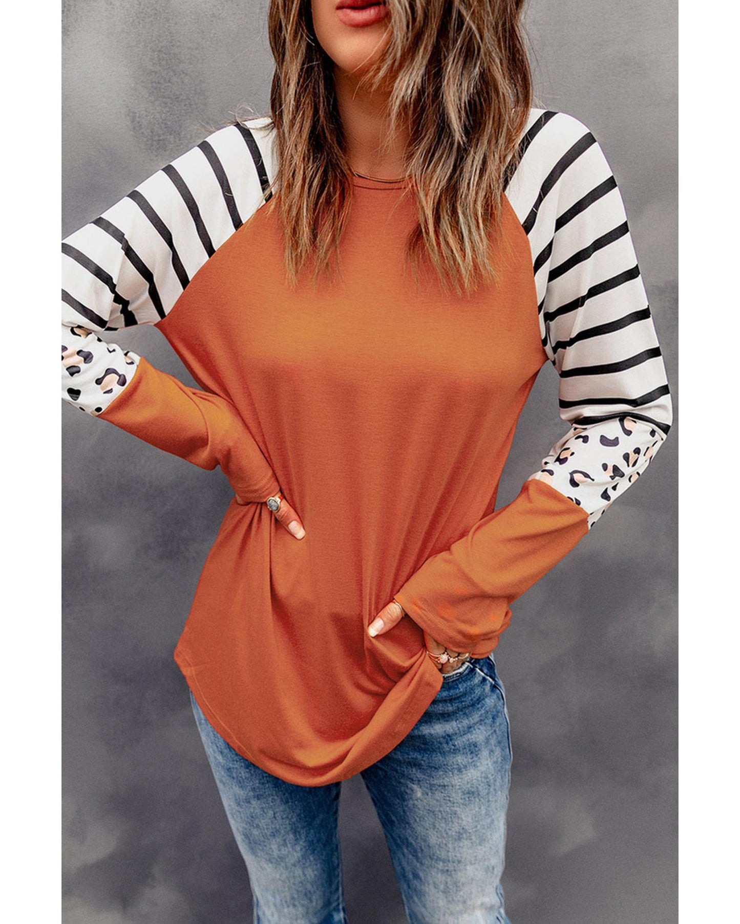 Azura Exchange Animal Print Long Sleeve Top with Striped Colorblock - L