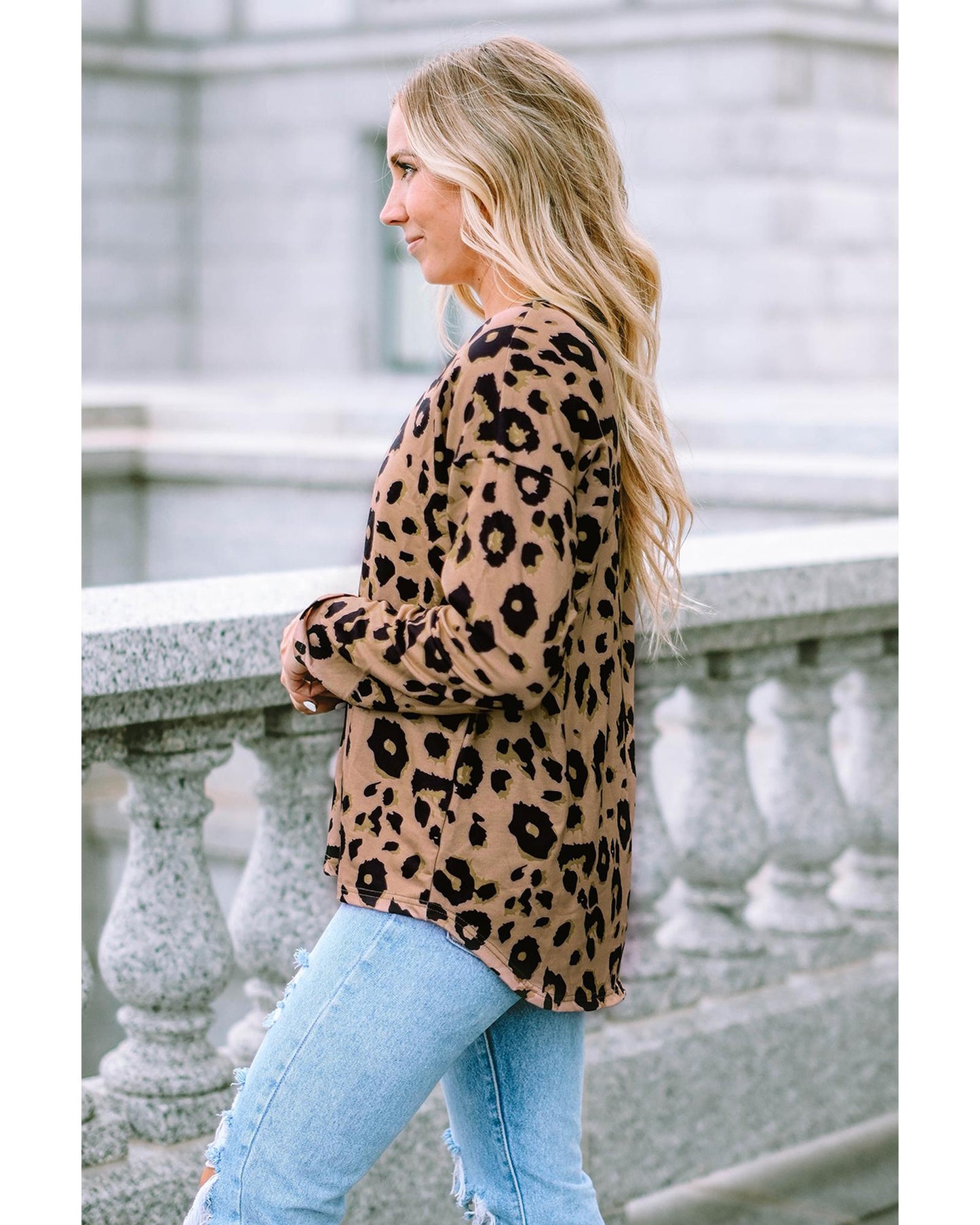 Azura Exchange Leopard Print V Neck Long Sleeve Top - L