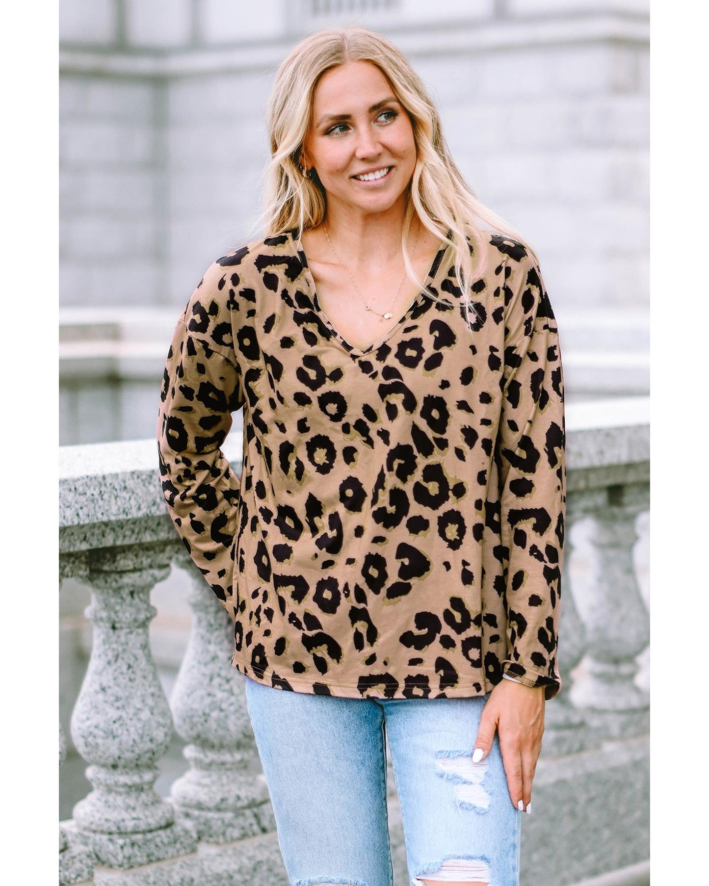 Azura Exchange Leopard Print V Neck Long Sleeve Top - L