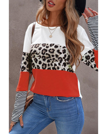 Azura Exchange Leopard Colorblock Long Sleeve Top - S