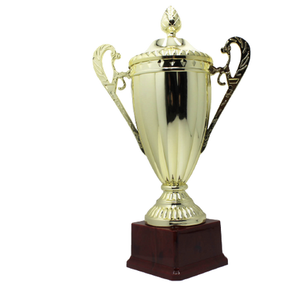 Large Classic Gold Trophy Cup Novelty Winners Prize Solid Achievement Award