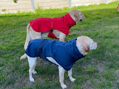 Pet Dog Raincoat Poncho Jacket Windbreaker Waterproof Clothes with Harness Hole-XXL-Red