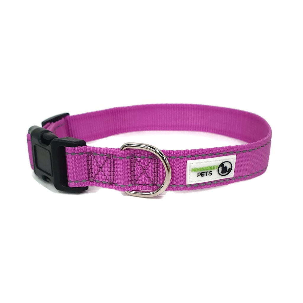 Nylon w/Reflective Stitching Dog Collar Medium Purple - Moondidley Pets