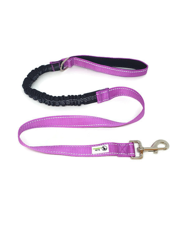 Bungee Dog Lead Nylon w/Reflective Stitching - Moondidley Pets Purple