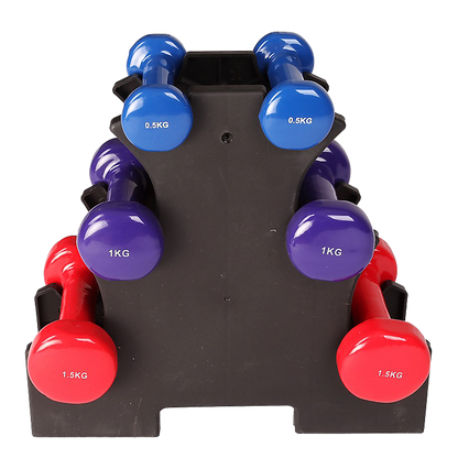 6-Piece Dumbbell Set with Rack