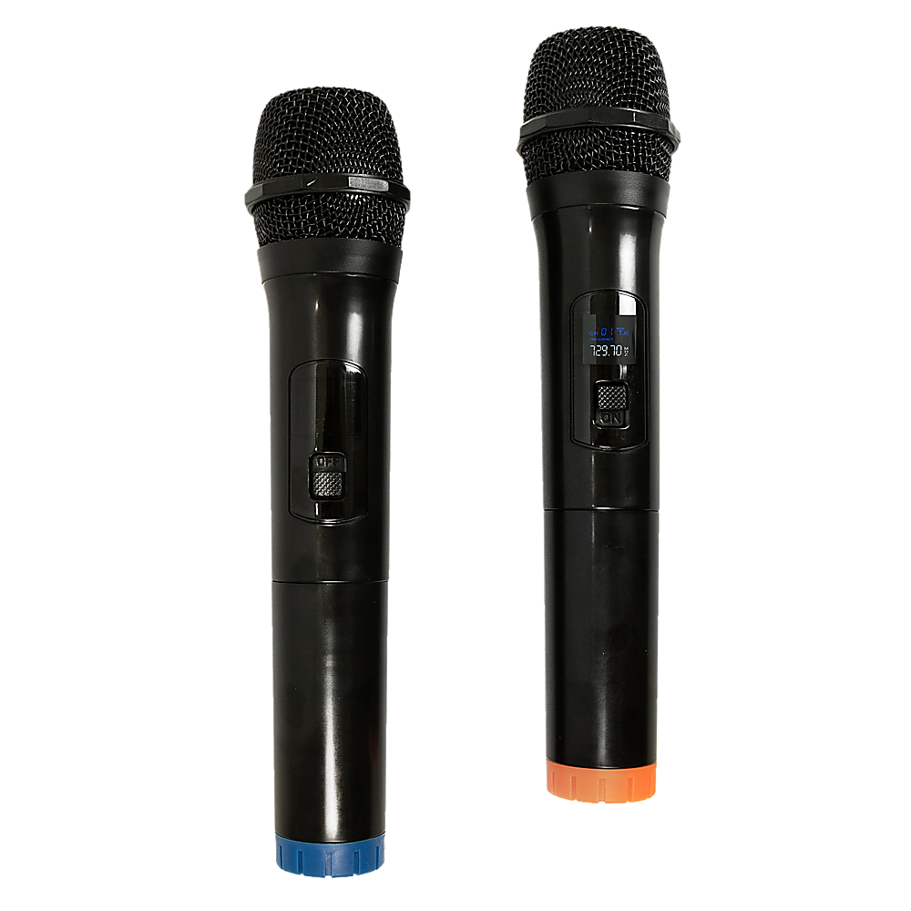 2 x Wireless Microphone Handheld Cordless Professional Mic Karaoke Receiver