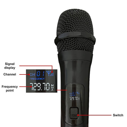 2 x Wireless Microphone Handheld Cordless Professional Mic Karaoke Receiver